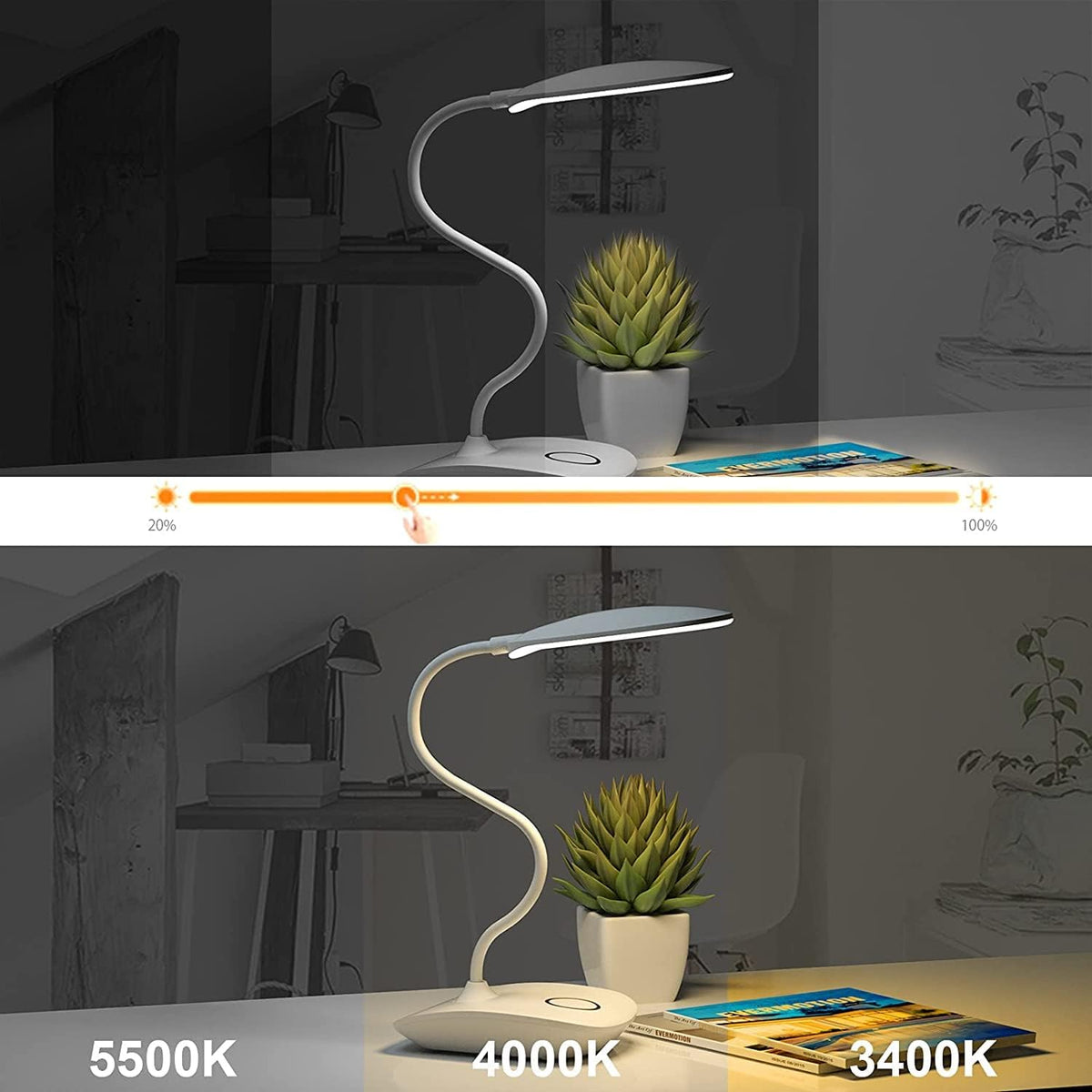 Rechargeable Cordless Desk Lamp with Flexible Gooseneck